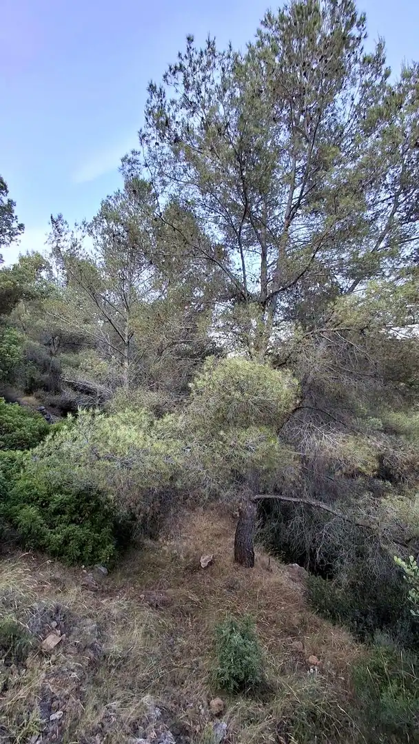 Finca rústica en venda en Cabanes amb Jardí privat, Terrassa i Piscina