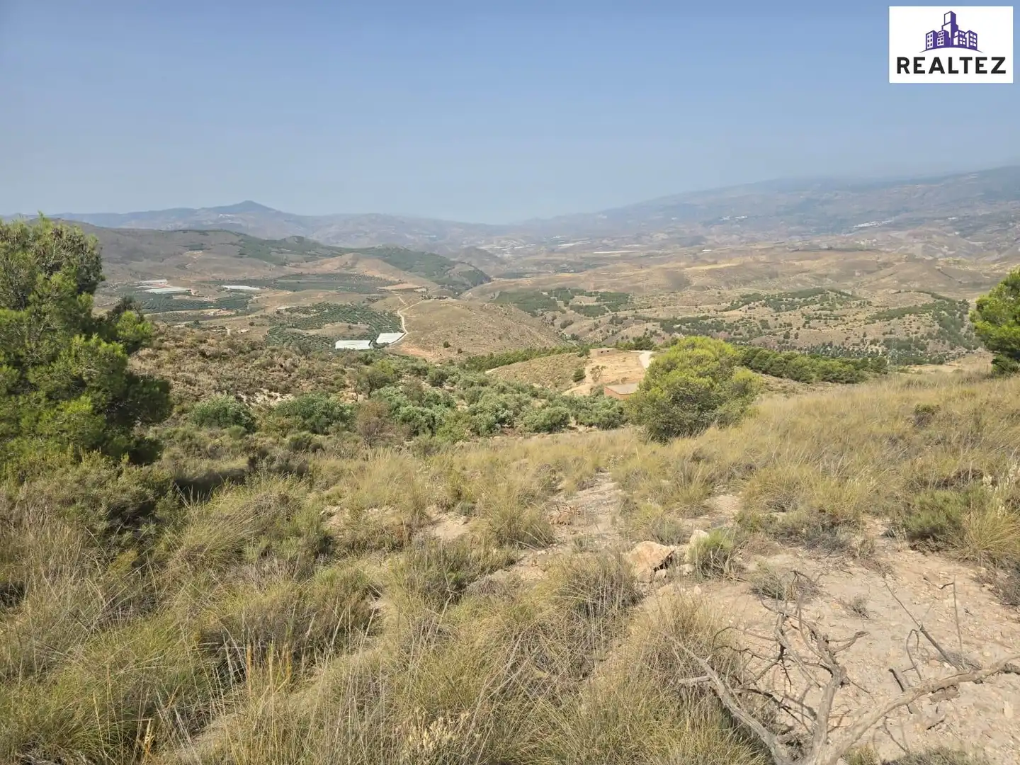 Terrain rustique à vendre à Alcolea, imagen 2