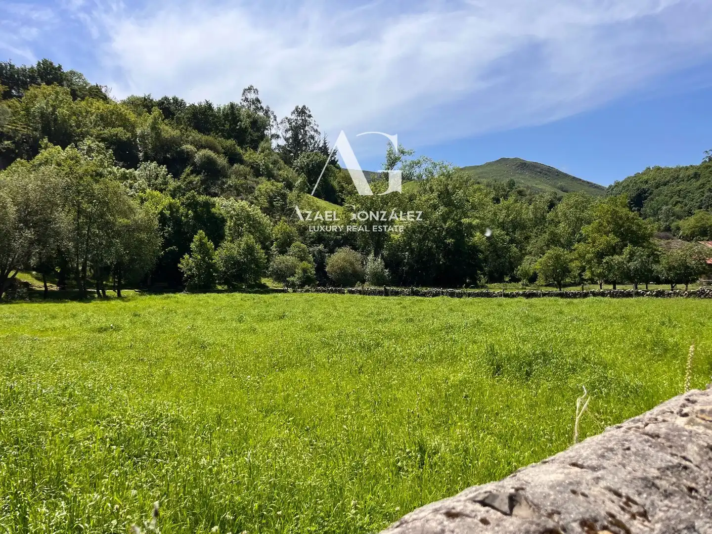 Land for sale in Ruente