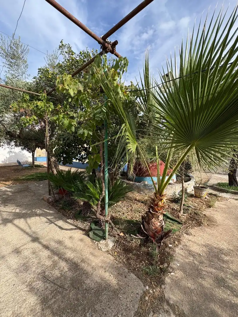 Casa con piscina en venta en Periurbano Este - Campiña, imagen 63