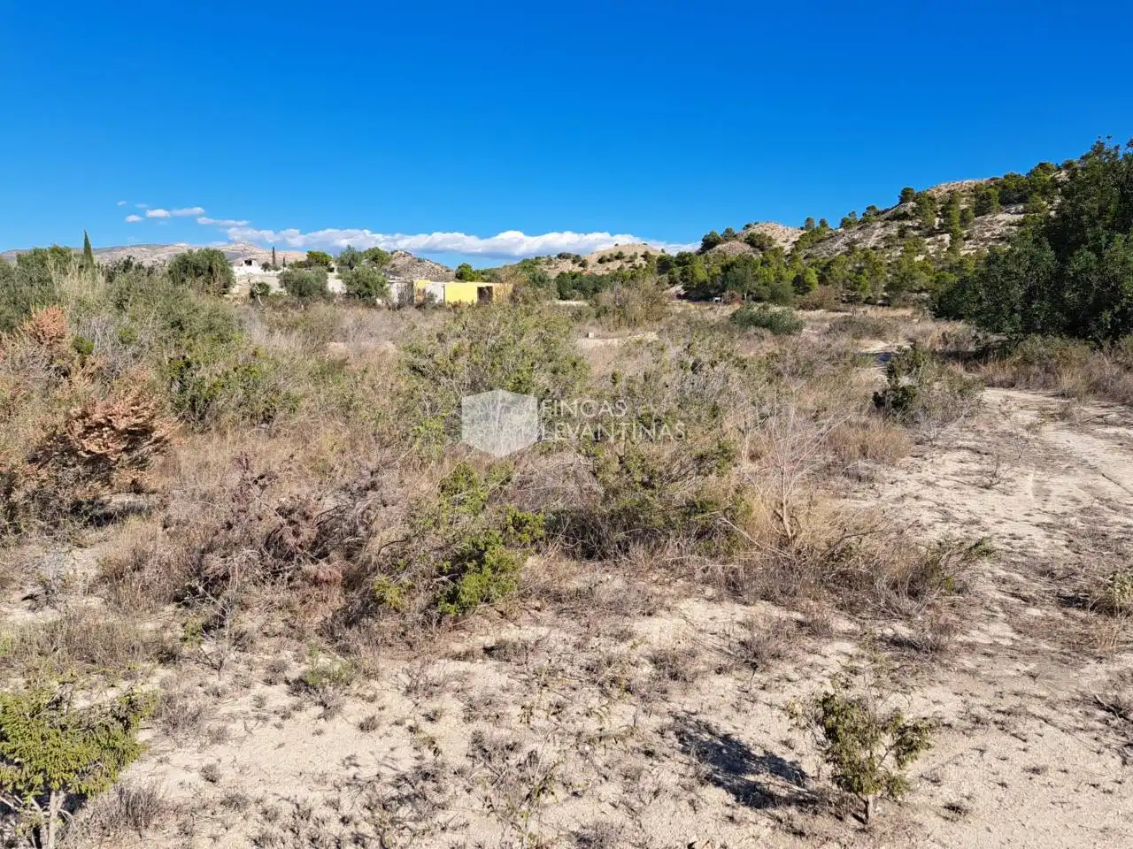 Terreny residencial en venda a Partidas de Alicante, imagen 13