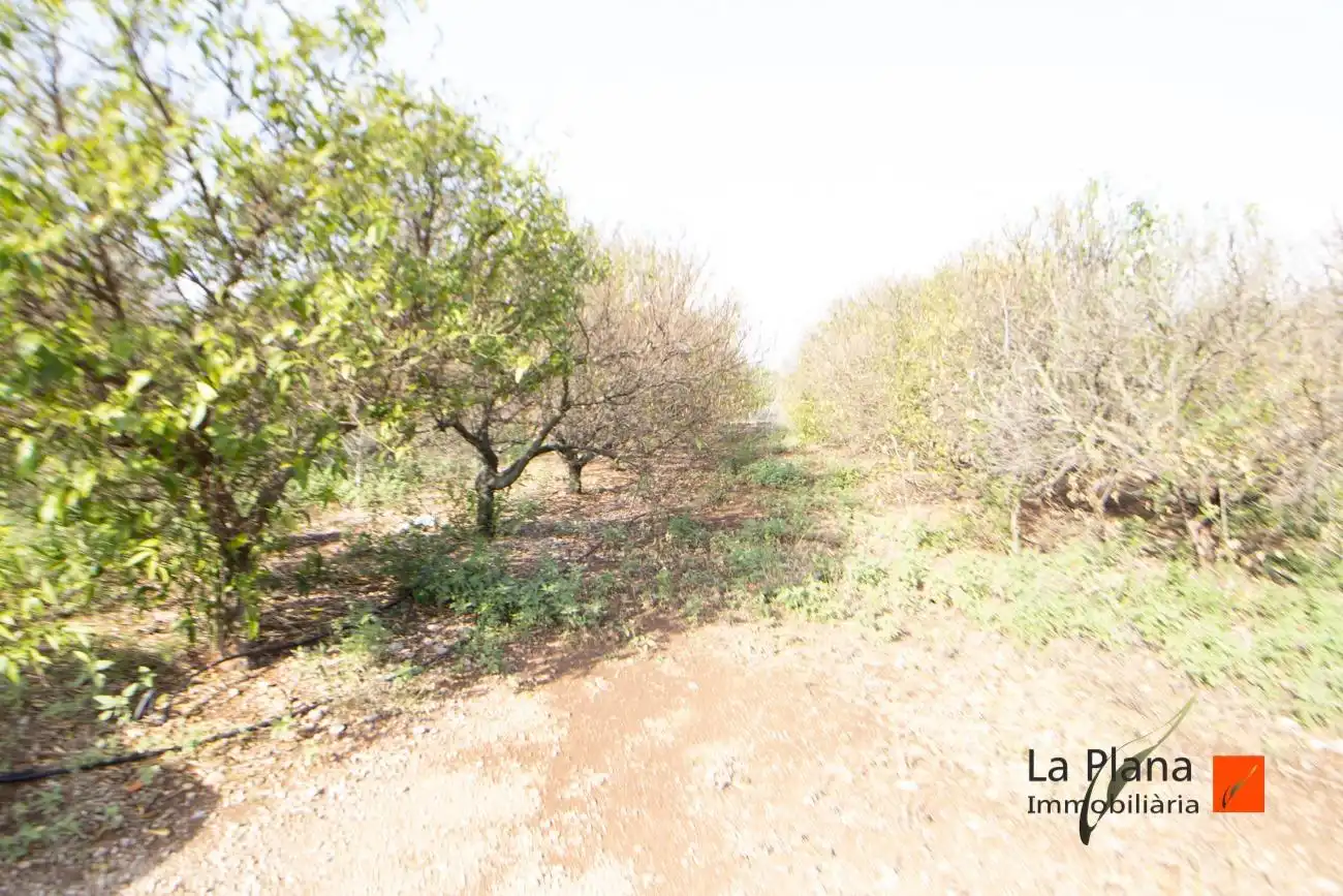 Terreno rustico in vendita a Santa Bàrbara, imagen 6