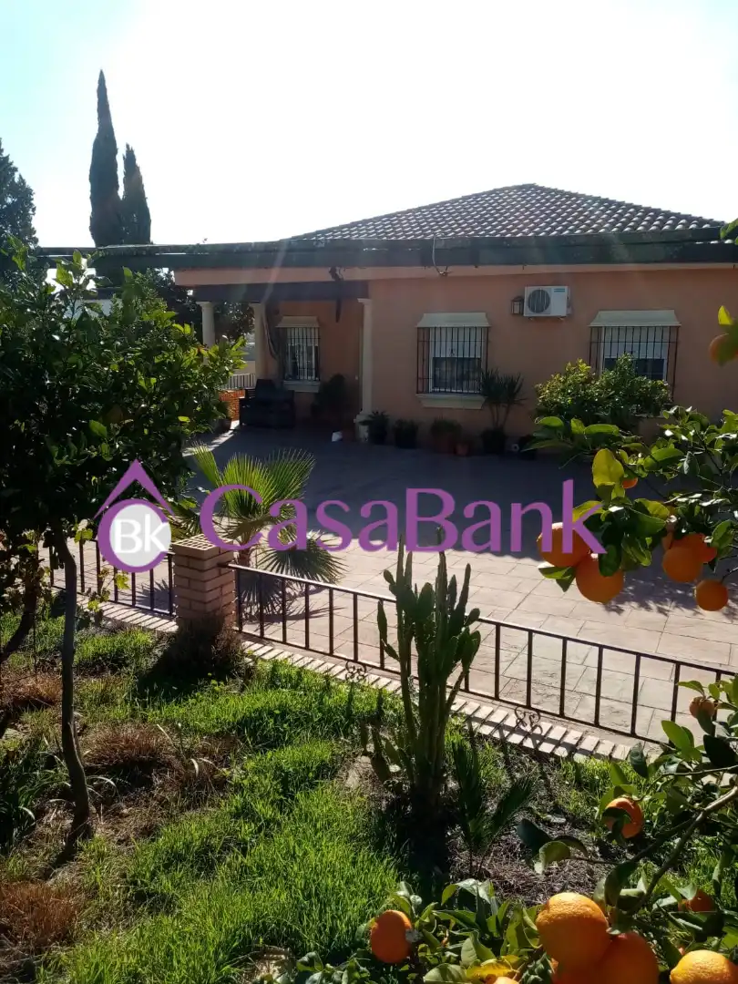 Houses for sale in Alcolea
