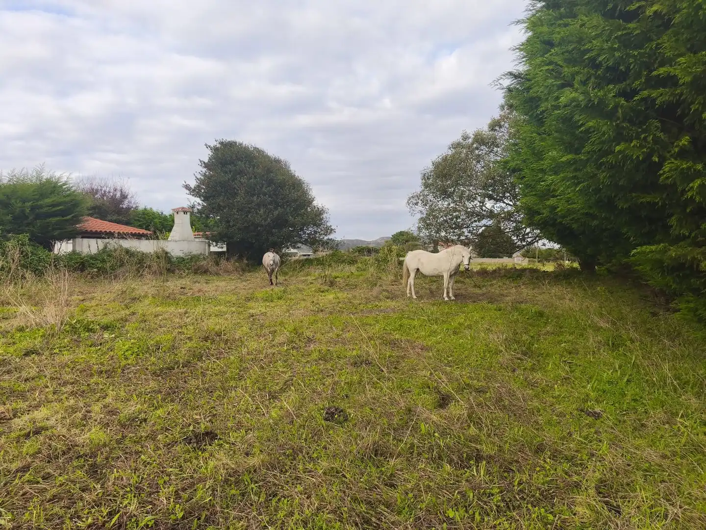 Terreno en venta en Ferrol