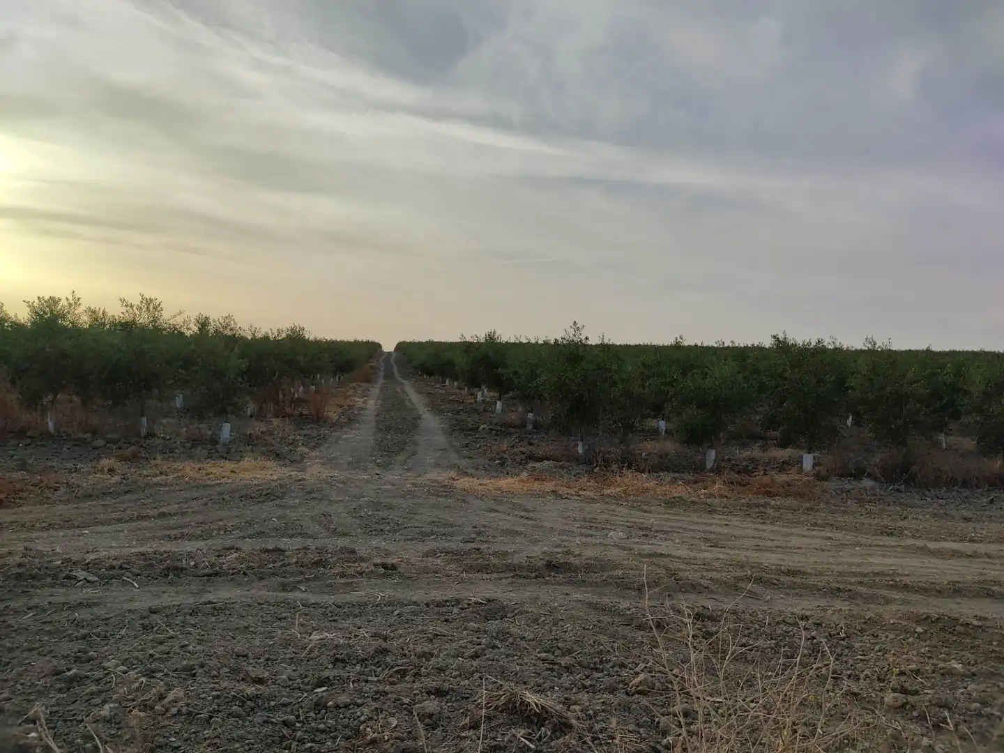 Terreni e lotti in vendita a Pedanías Sur, imagen 10