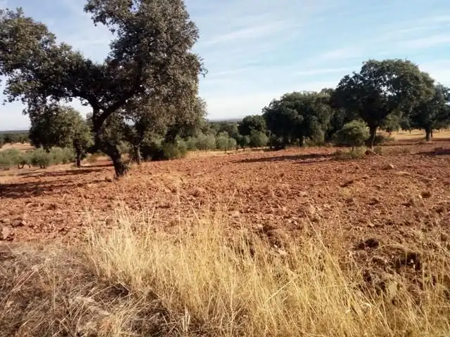 Terreny residencial en venda a Villanueva del Duque, imagen 3