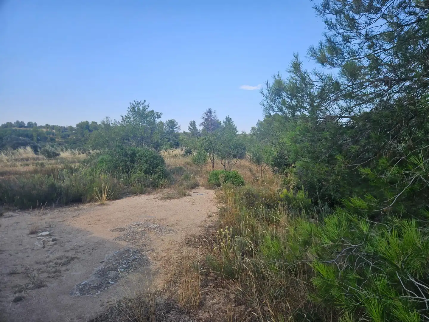 Land for sale in La Pobla de Cérvoles