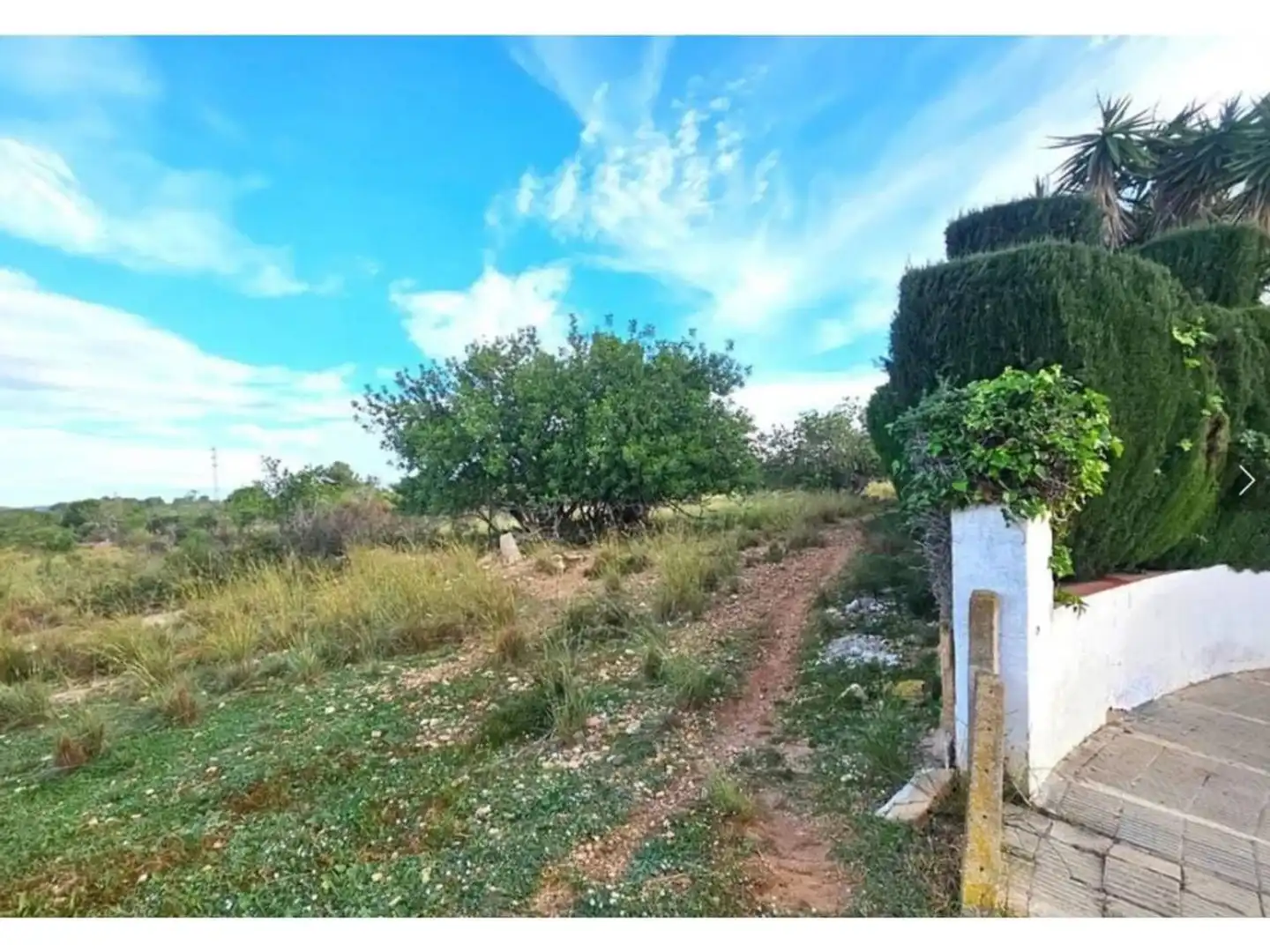 Rural land for sale in Calle de la Fonolleda, imagen 7