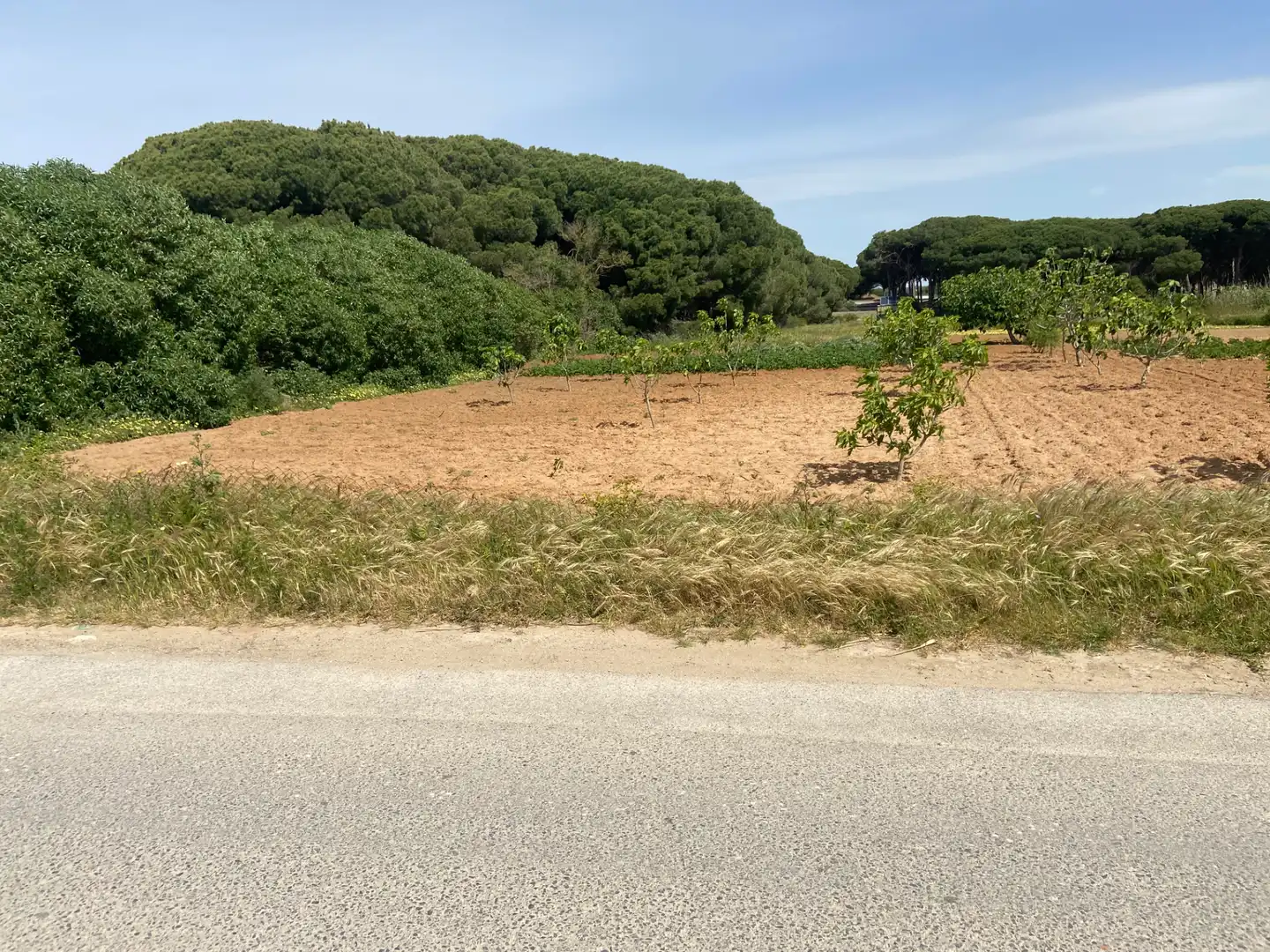 Terrenys i solars en venda a Camino del Lagar 29, imagen 2