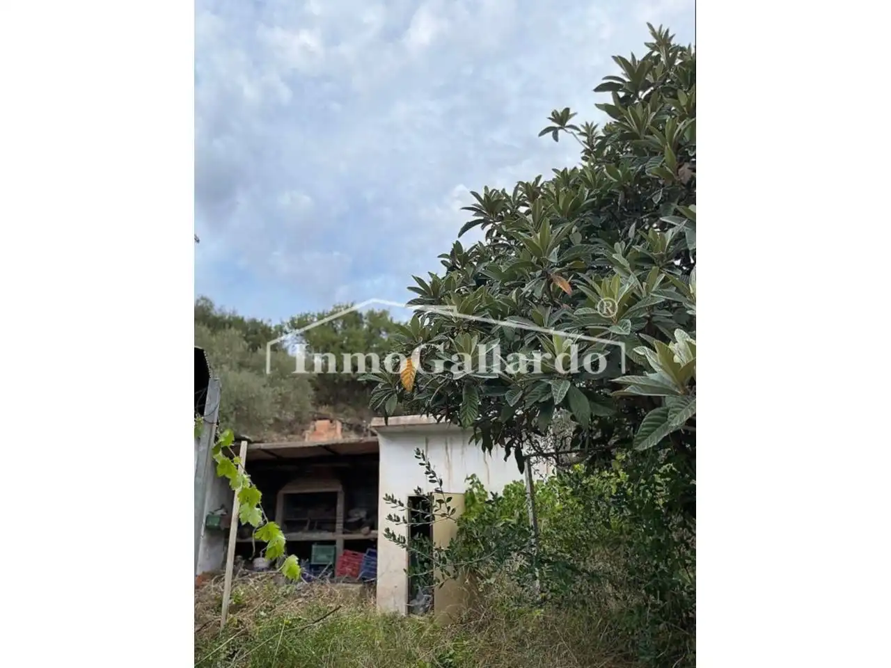 Houses for sale in Comares  with Private garden
