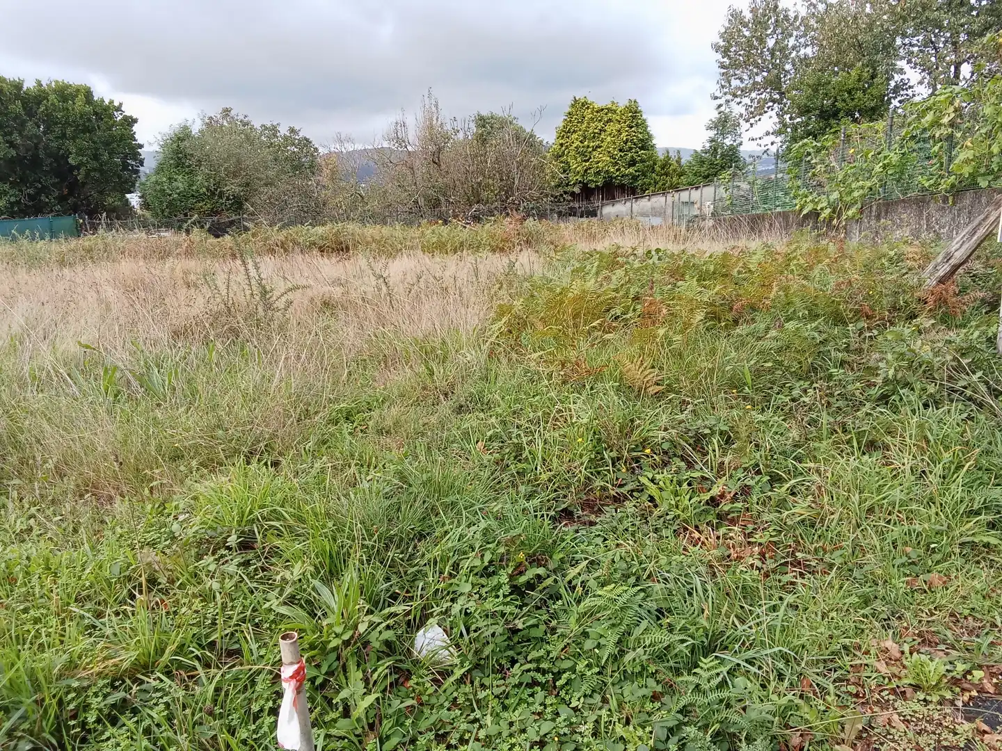 Terreni e lotti in vendita a A Gándara, imagen 4