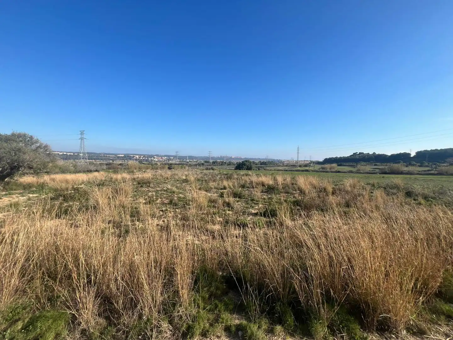 Rural land for sale in Constantí, imagen 4
