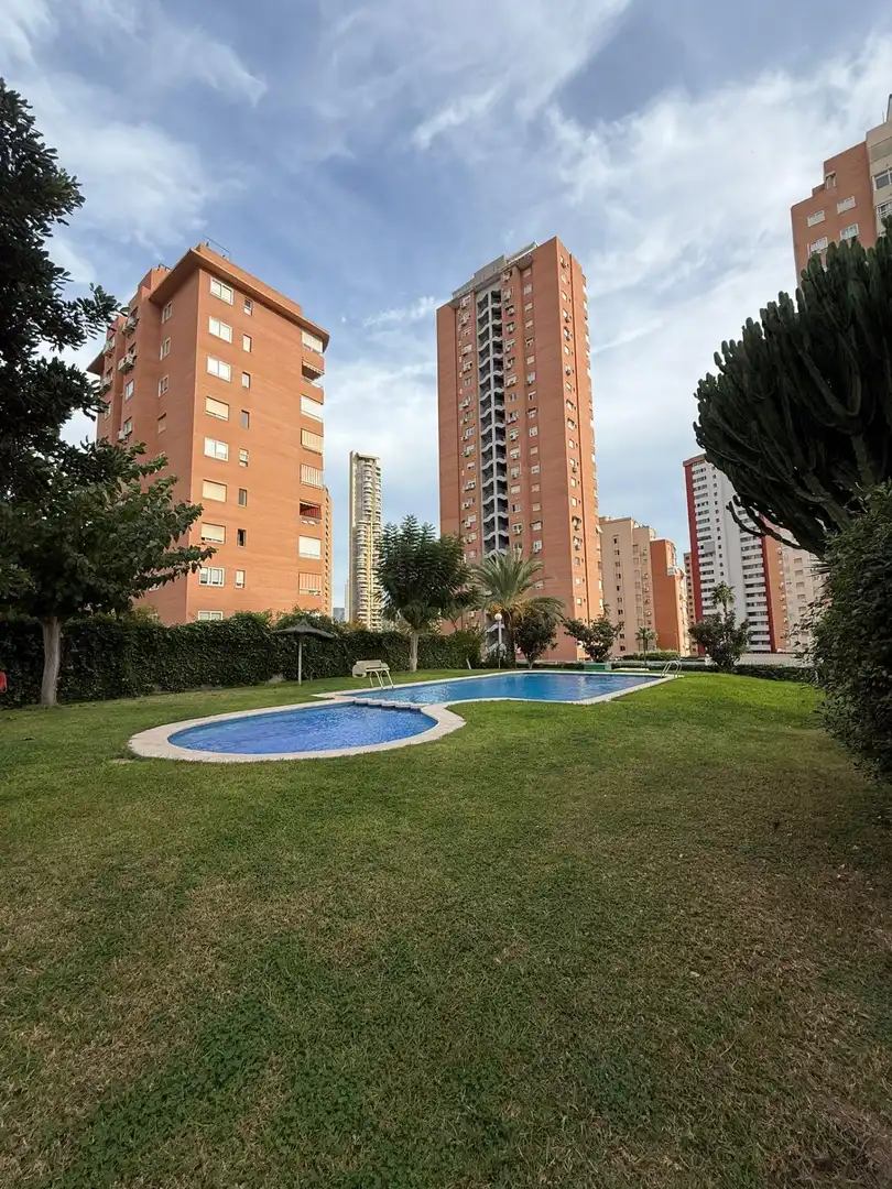 Flat with pool for sale in Juzgados - Plaza de Toros, imagen 13