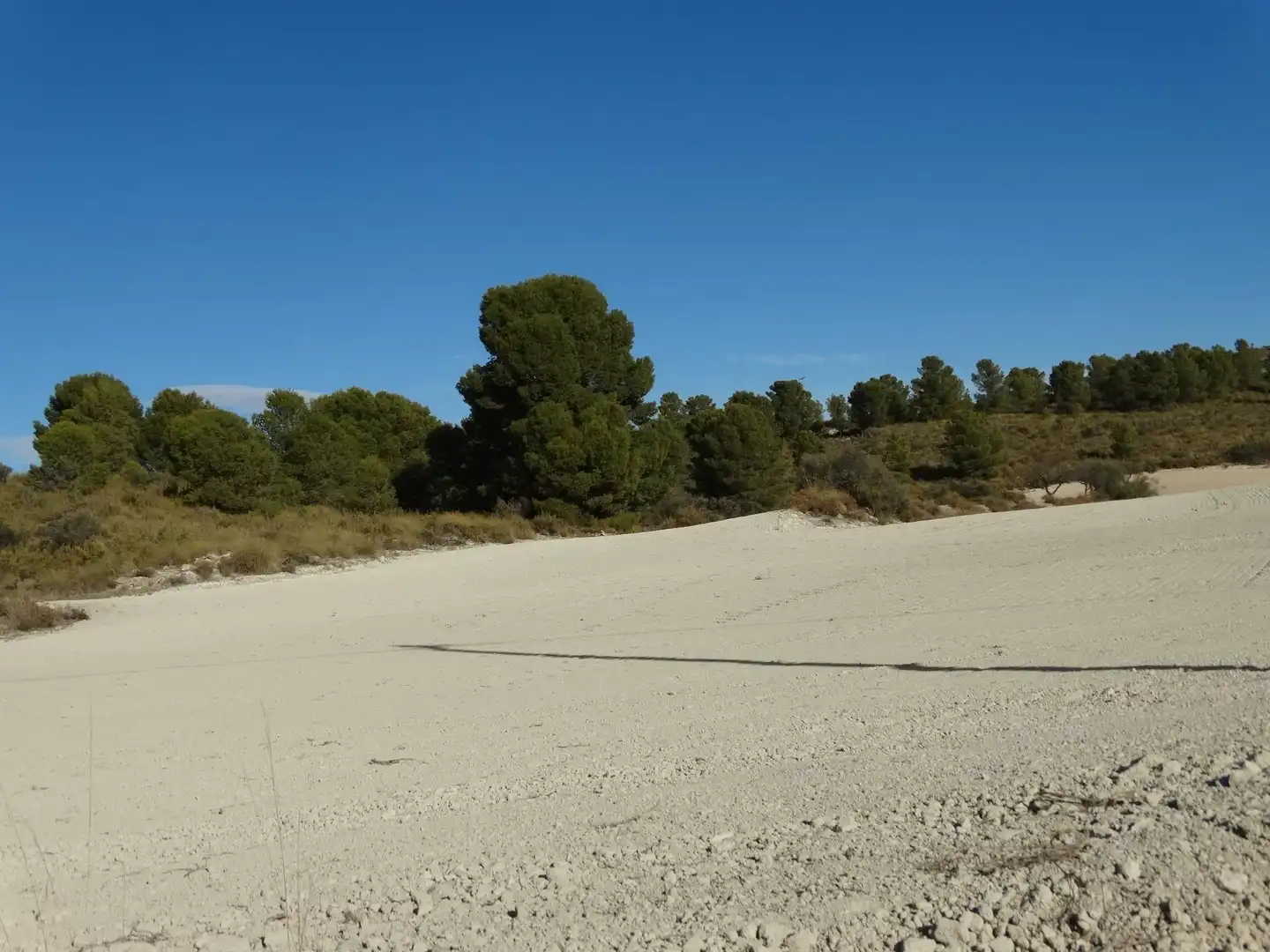 Terreni e lotti in vendita a Moratalla, imagen 45