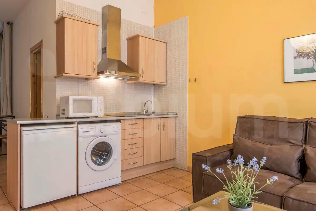Cocina de Apartamento de alquiler en Ciutat Vella