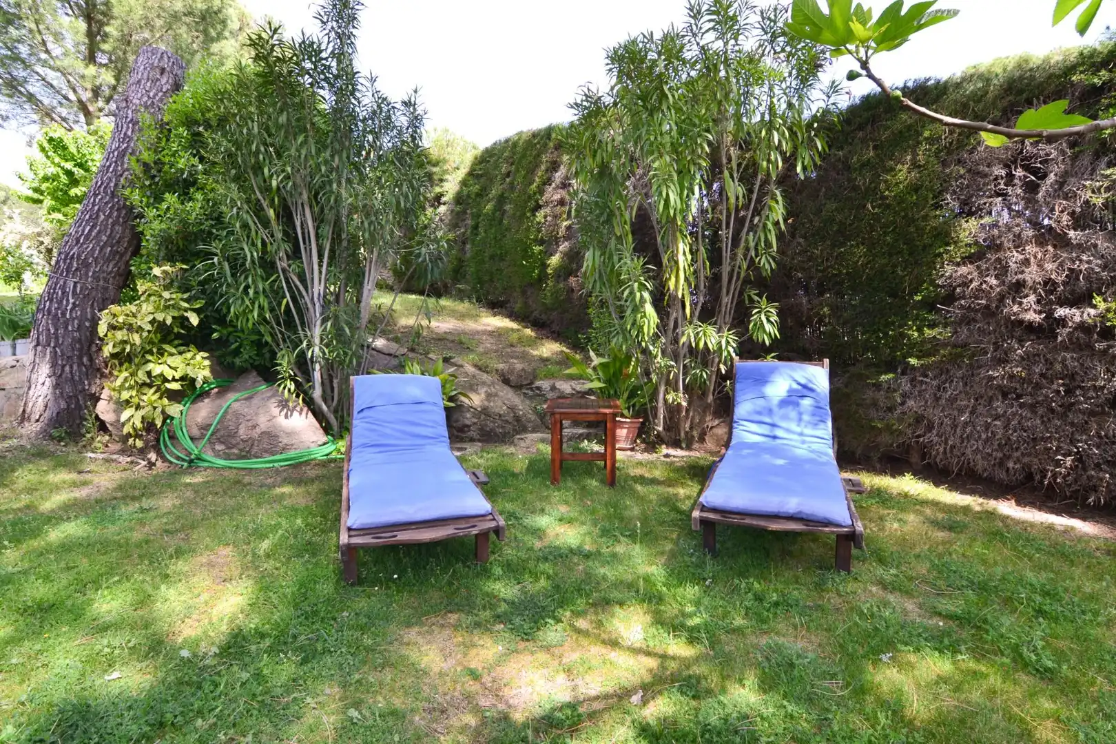 Jardí de Casa o xalet en venda en San Martín de Valdeiglesias amb Jardí privat, Terrassa i Traster