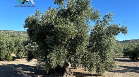 Terreno en venta en El Gordal, Baeza