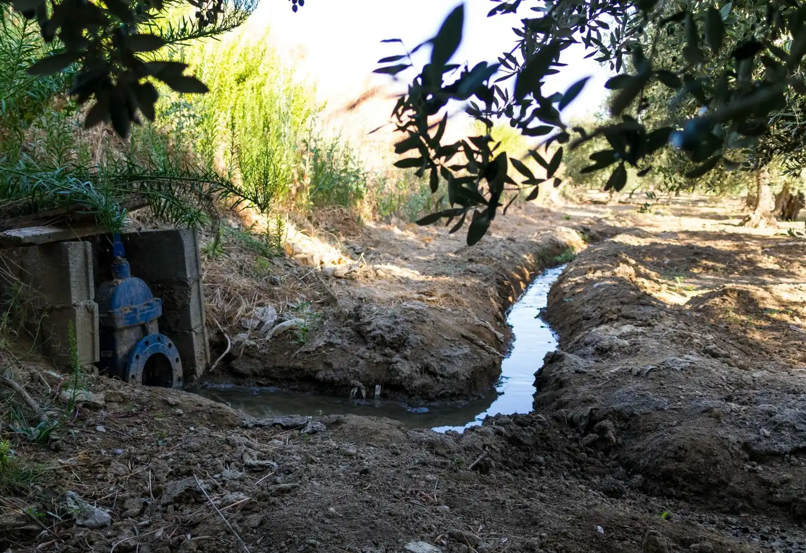Terreno rustico in vendita a Urbanizacion PAGO VIÑA DEL REY, imagen 10