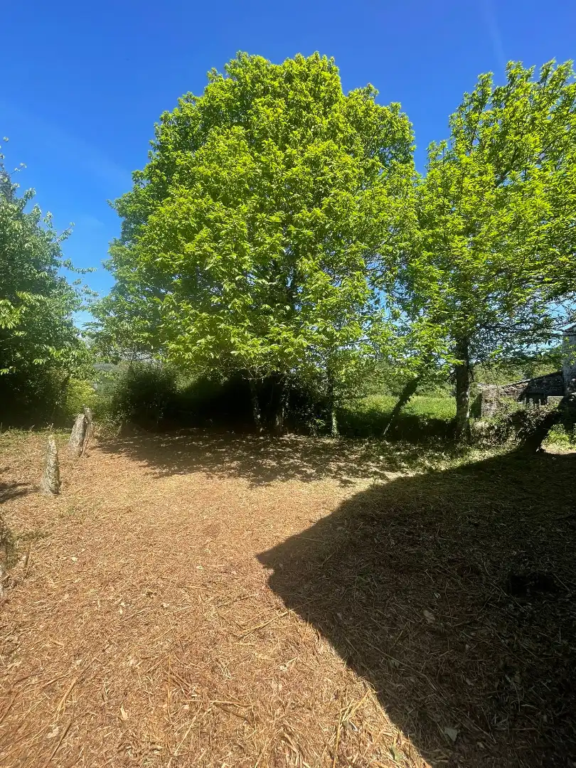 Finca rústica en venda en O Irixo amb Jardí privat, Traster i Balcó