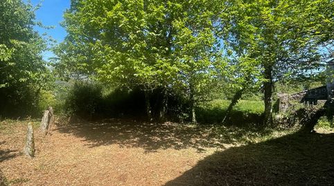 Foto 4 de Finca rústica en venda a O Irixo, Ourense
