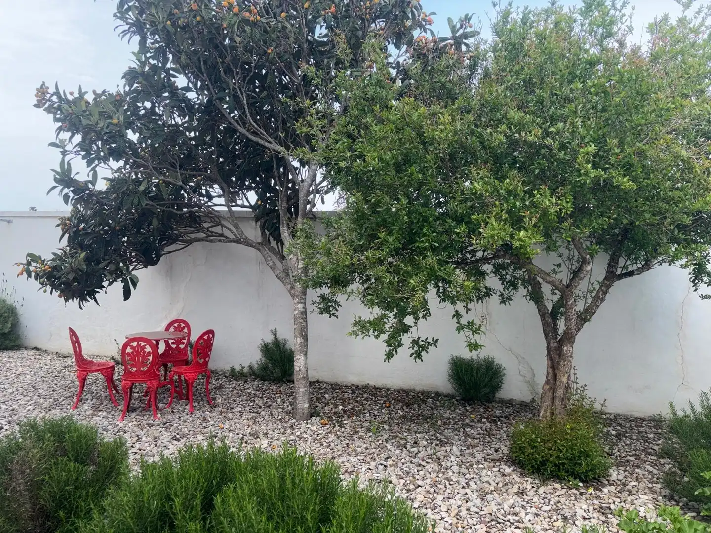 Terrassa de Finca rústica en venda en Barbate amb Jardí privat, Terrassa i Traster