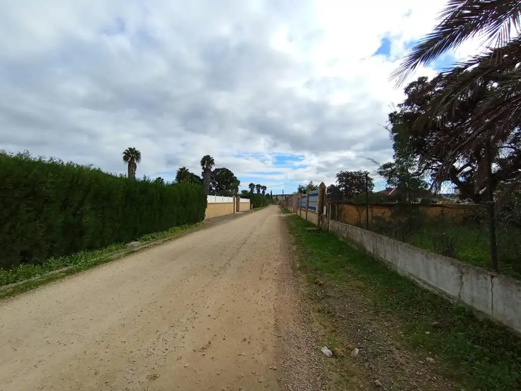 Vista exterior de Casa o chalet en venta en Sanlúcar la Mayor con Jardín privado y Piscina