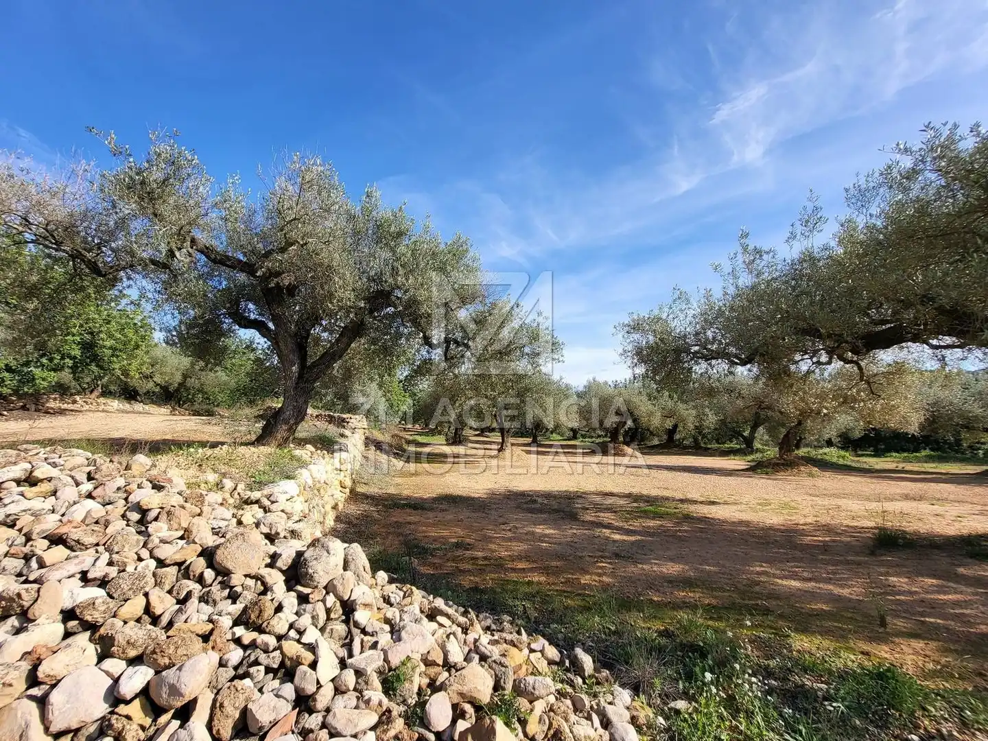 Terreno rustico in vendita a Traiguera, imagen 5