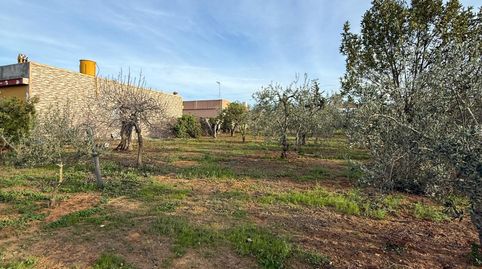 PARCELA EN EL MONJE, immagine 4