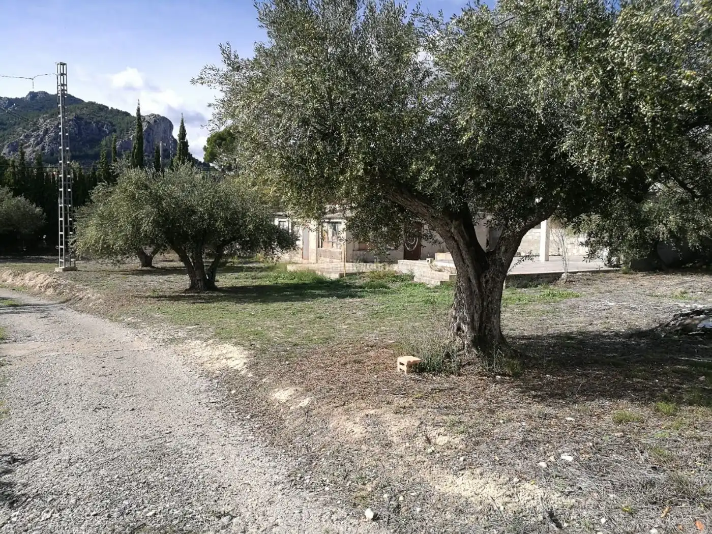 Terreno residencial en venta en Partida el Pinar 77, imagen 4