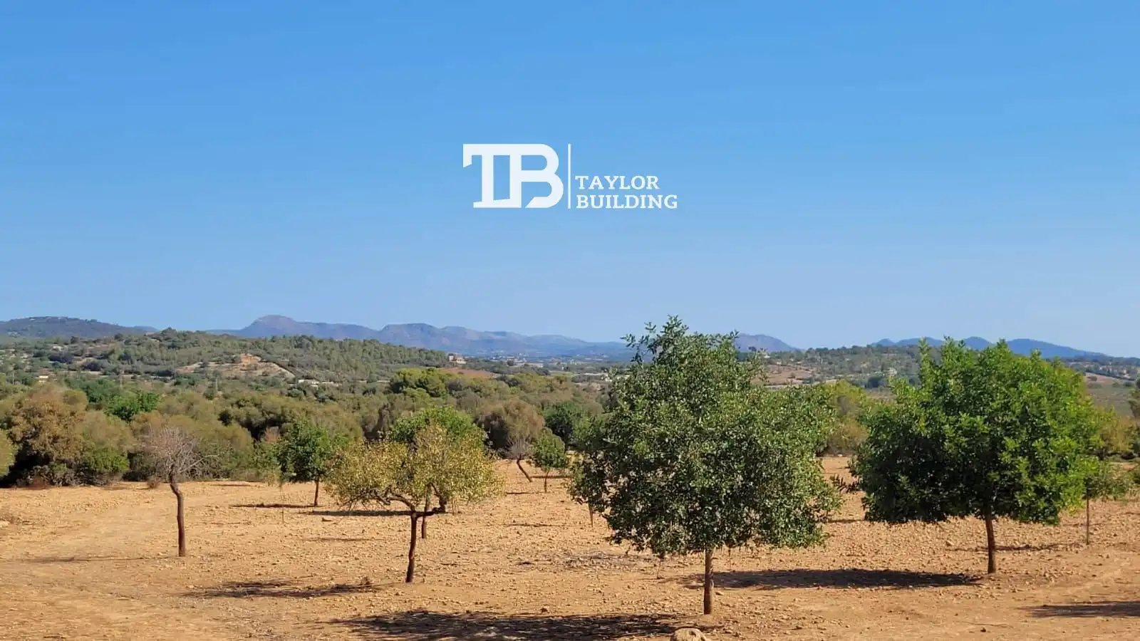 Terreno residenziale in vendita a CARRETERA MANACOR-FELANITX, imagen 15