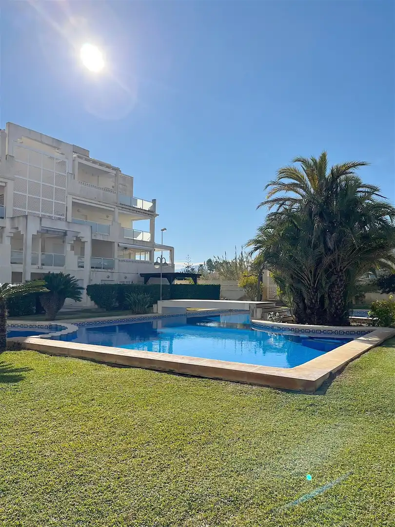 Mini appartamento con piscina in vendita a Oliva Nova, imagen 2