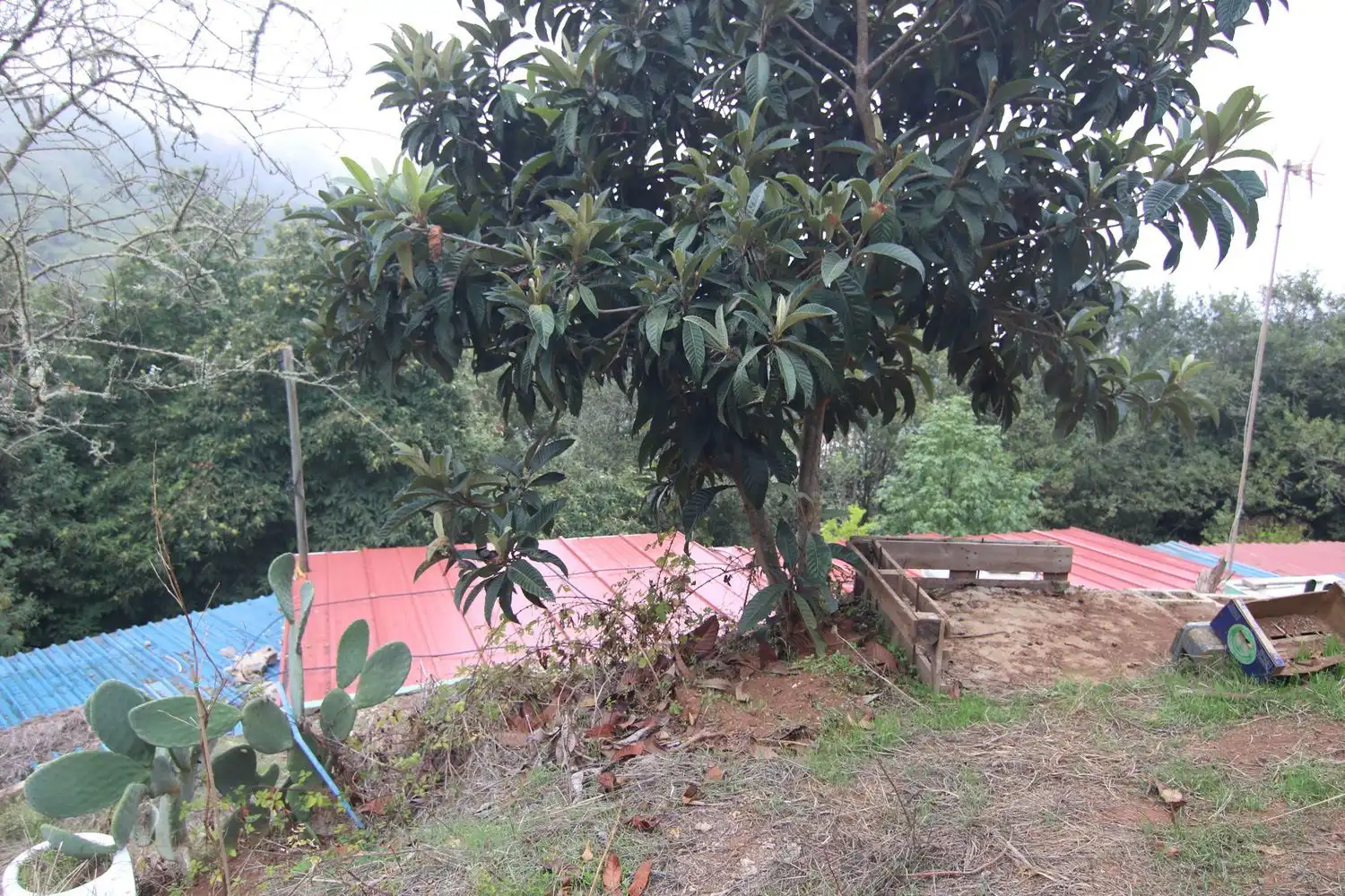 Jardí de Finca rústica en venda en Valleseco