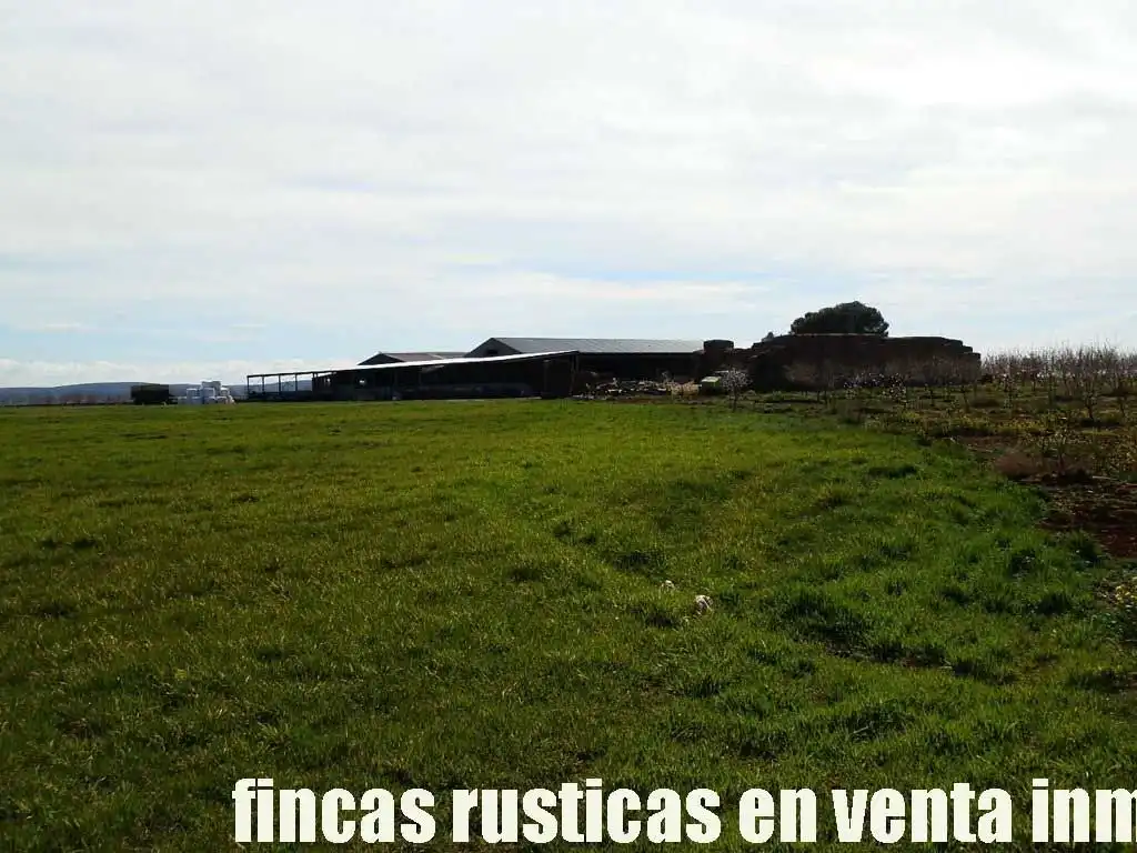 Terreny rústic en venda a Manzanares, imagen 3