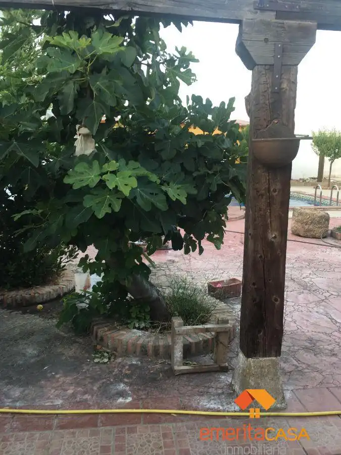 Casa o xalet en venda a Mirandilla