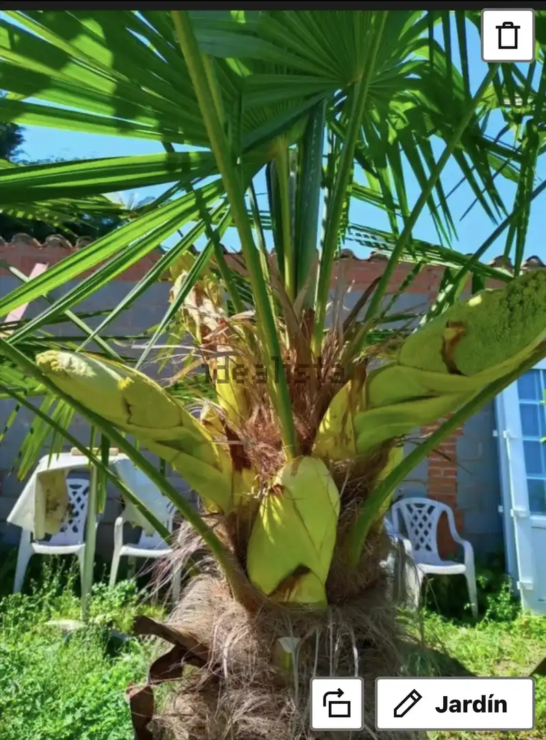 Jardí de Casa o xalet en venda en Mansilla Mayor amb Aire condicionat, Jardí privat i Parquet