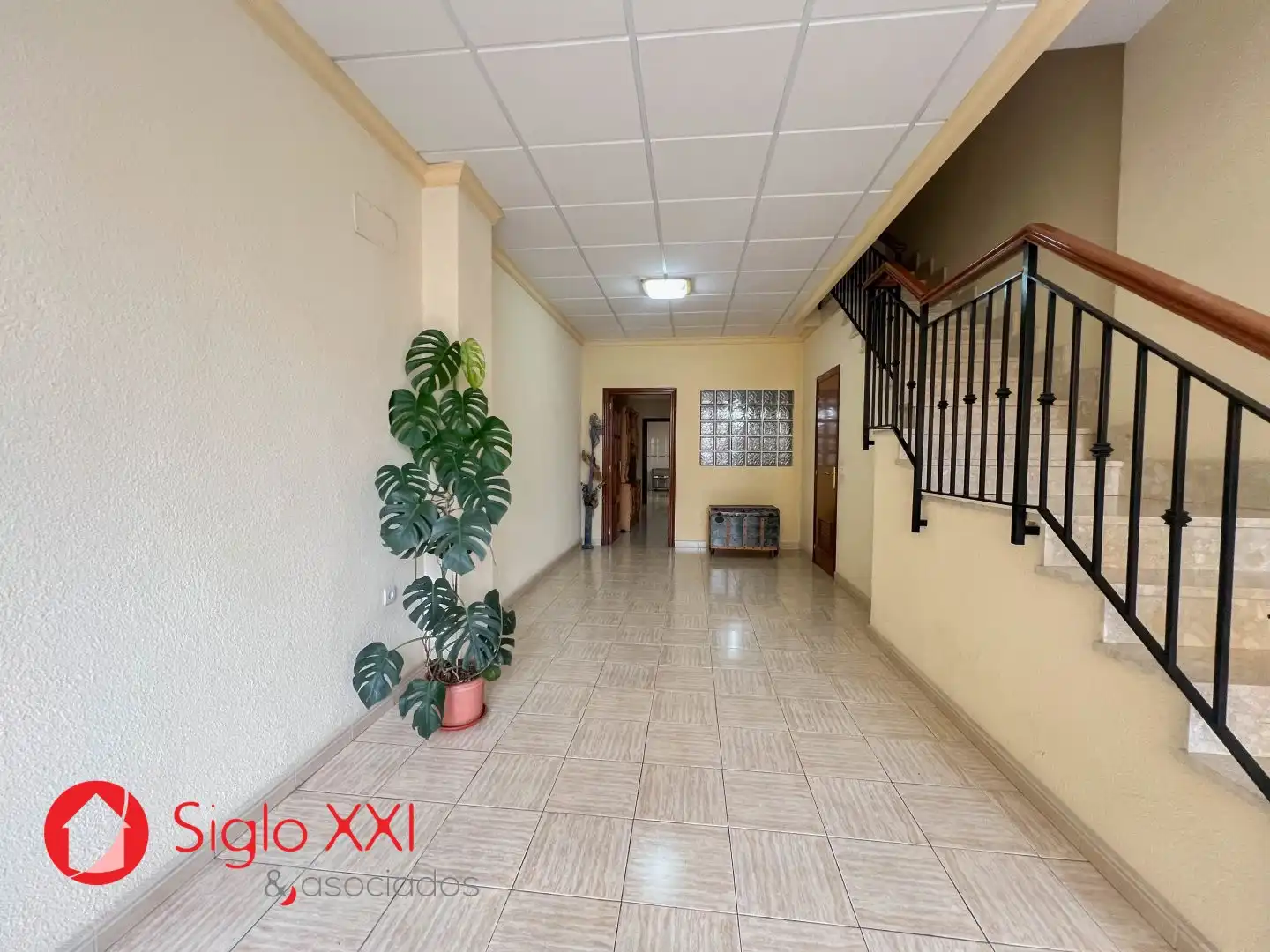 House with terrace for sale in El Pilar, imagen 3