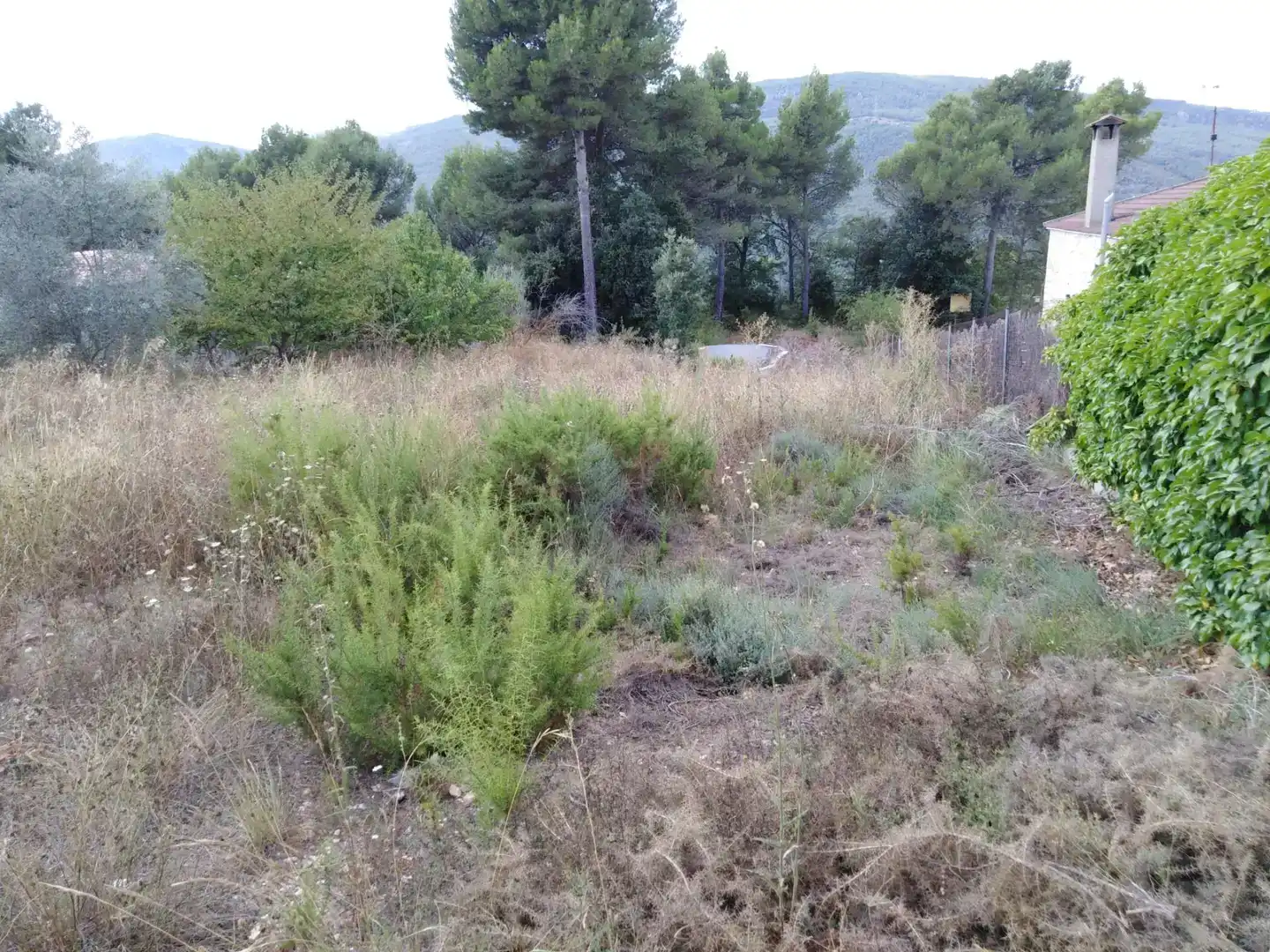 Terreno en venta en Pontils