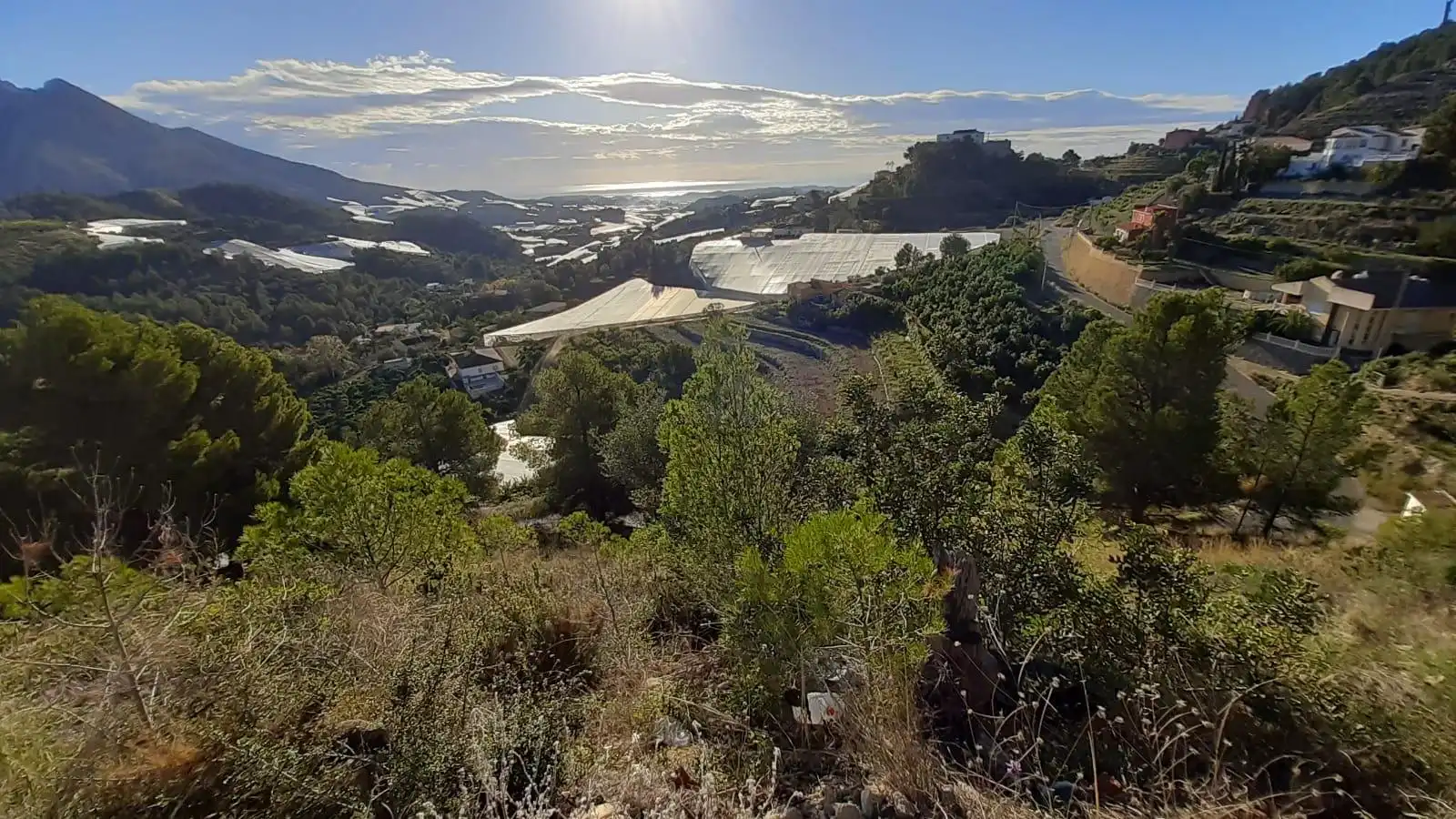 Terrenys i solars en venda a Callosa d'en Sarrià