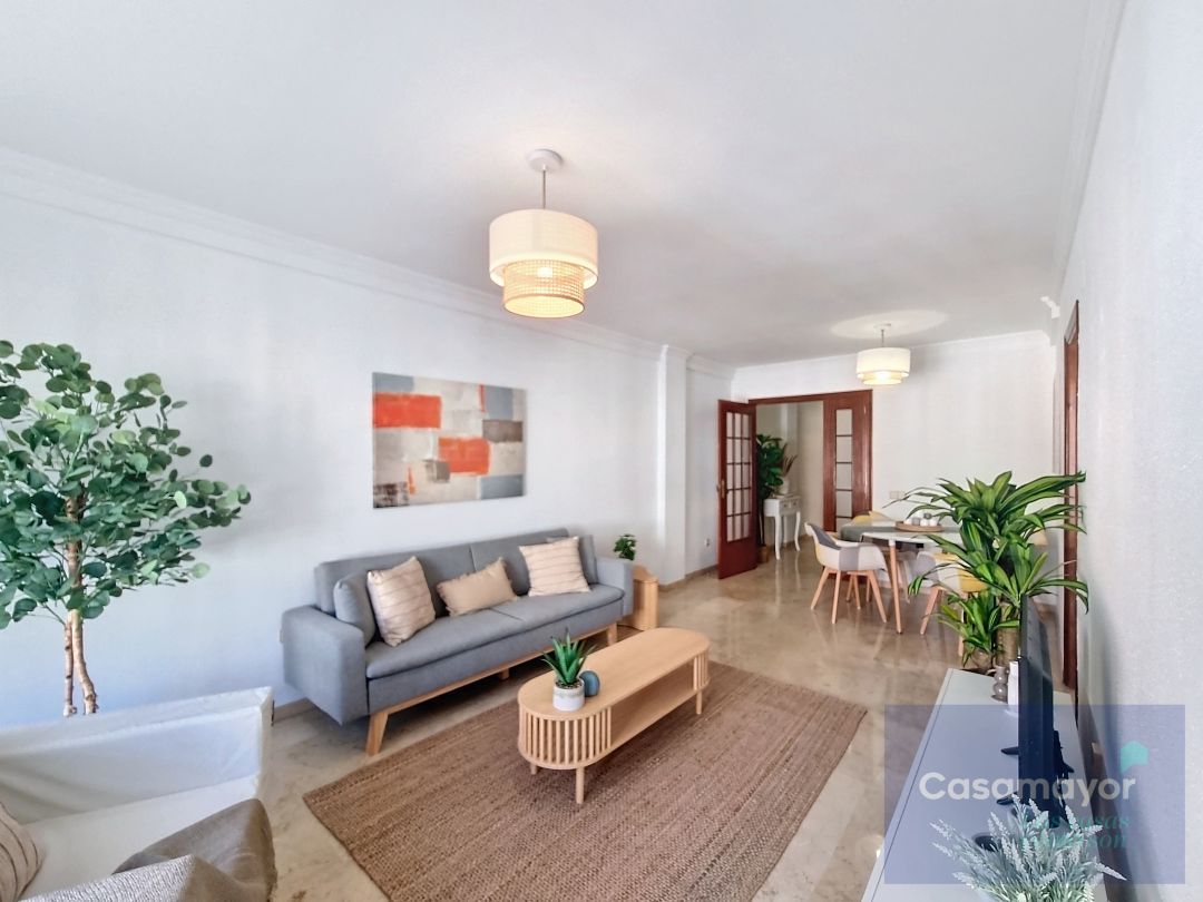 Sala de estar de Piso en venta en Alicante / Alacant con Terraza y Balcón