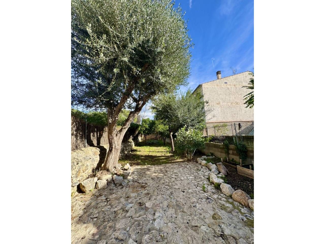 Garden of House or chalet to rent in Alaró  with Private garden and Terrace