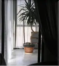 Mixte résidentiel à vendre à Calle Pinto - San Roque, imagen 36