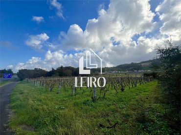 Terreno rústico en venta en Meis