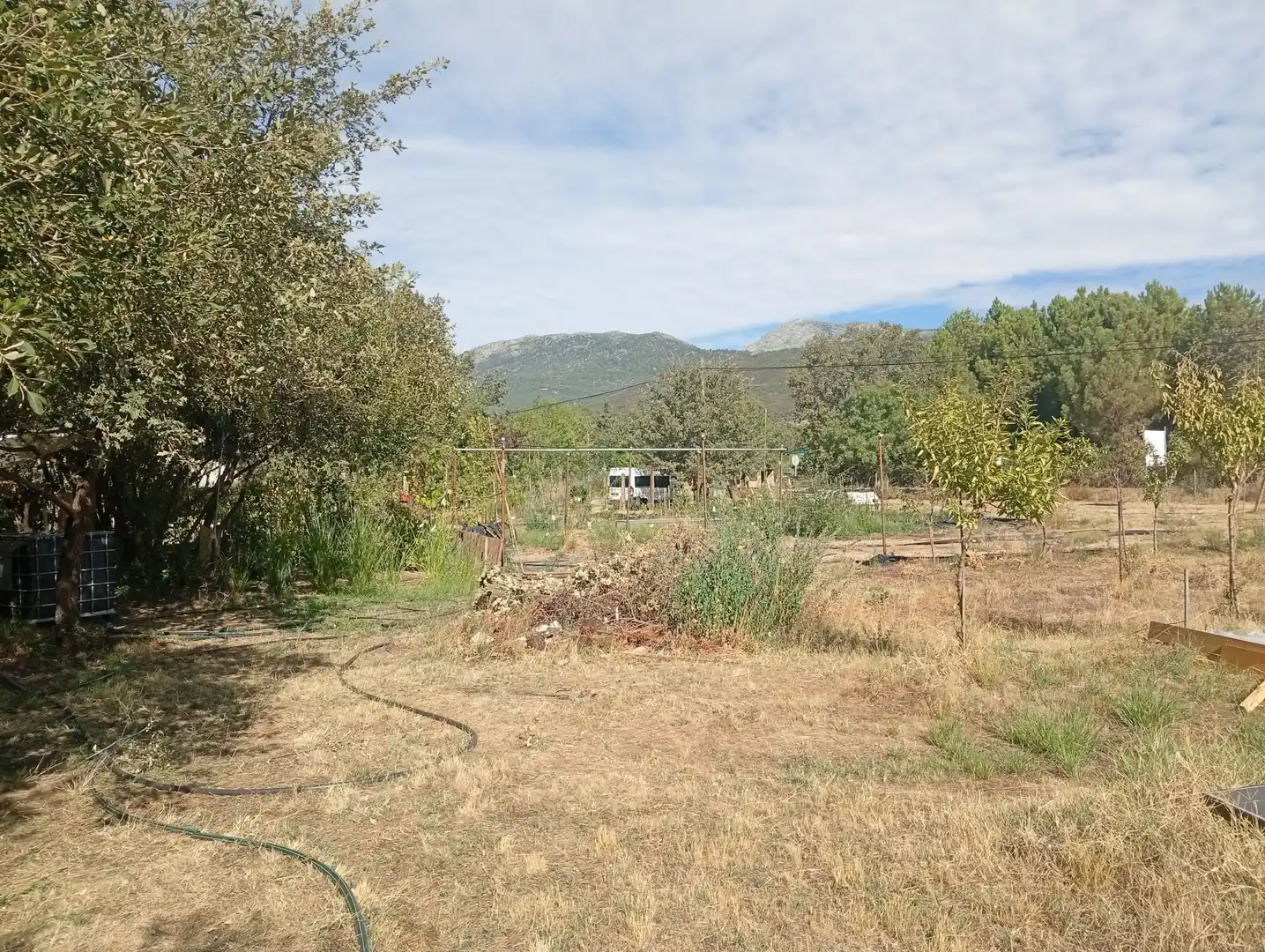 Terrain rustique à vendre à Villanueva de la Vera, imagen 31