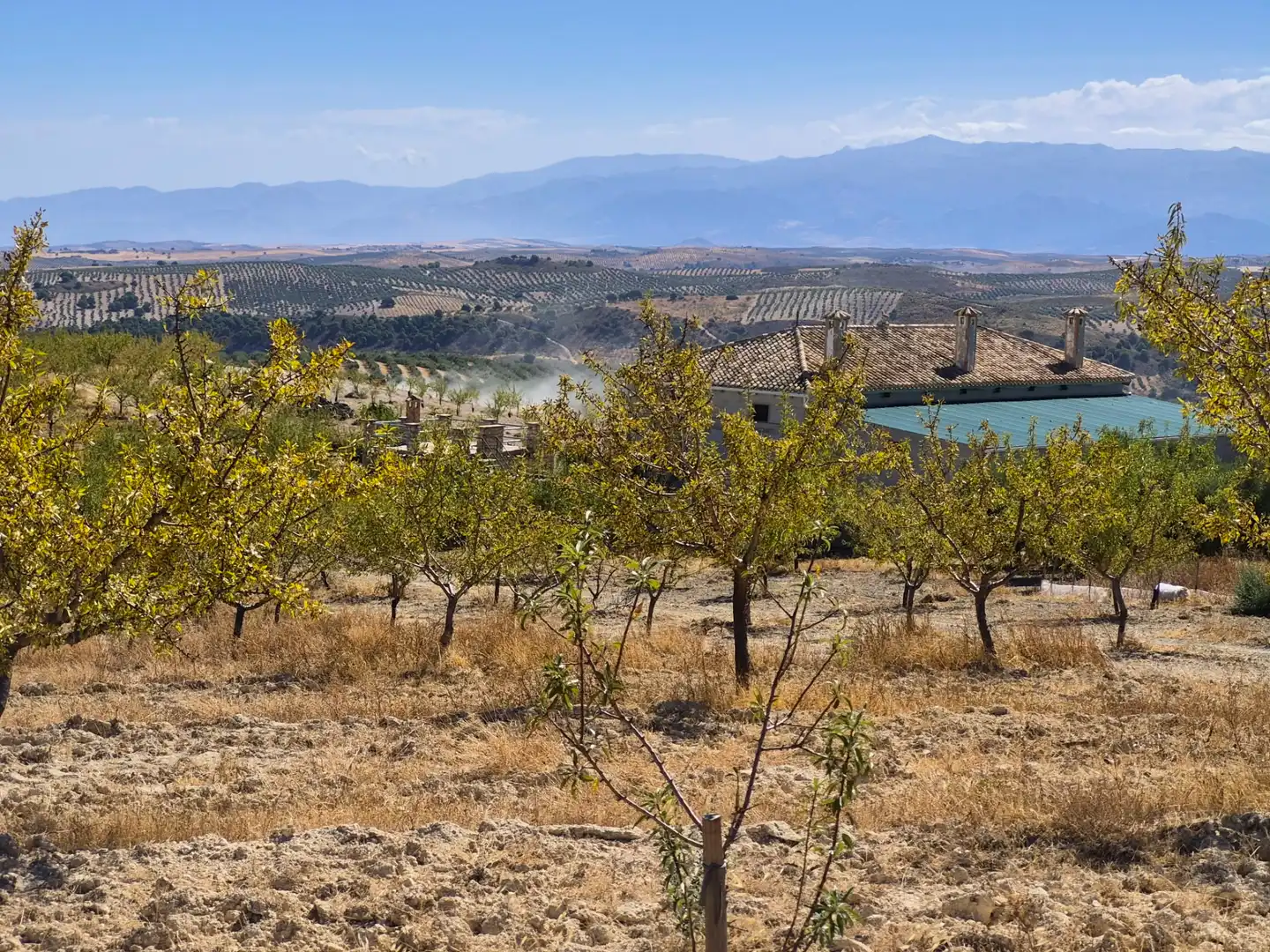 Terreny rústic en venda a Alhama de Granada, imagen 8