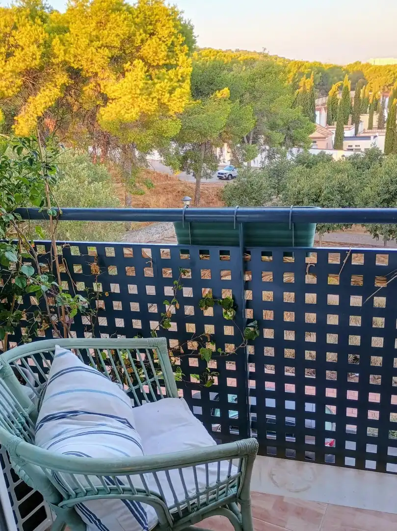 Appartement avec ascenseur à louer à CARRETAS 33, imagen 41
