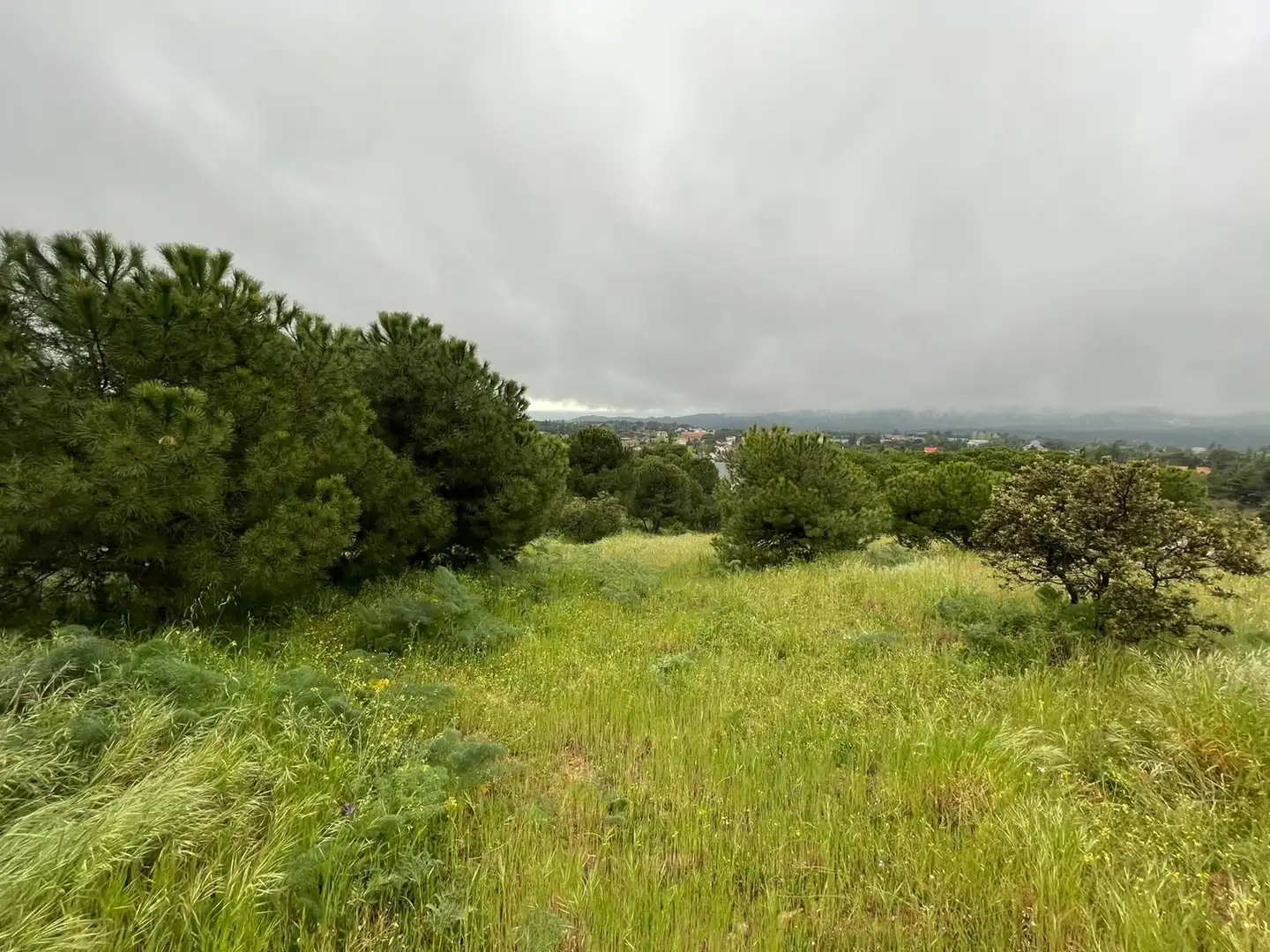 Residencial en venda en Torrelodones