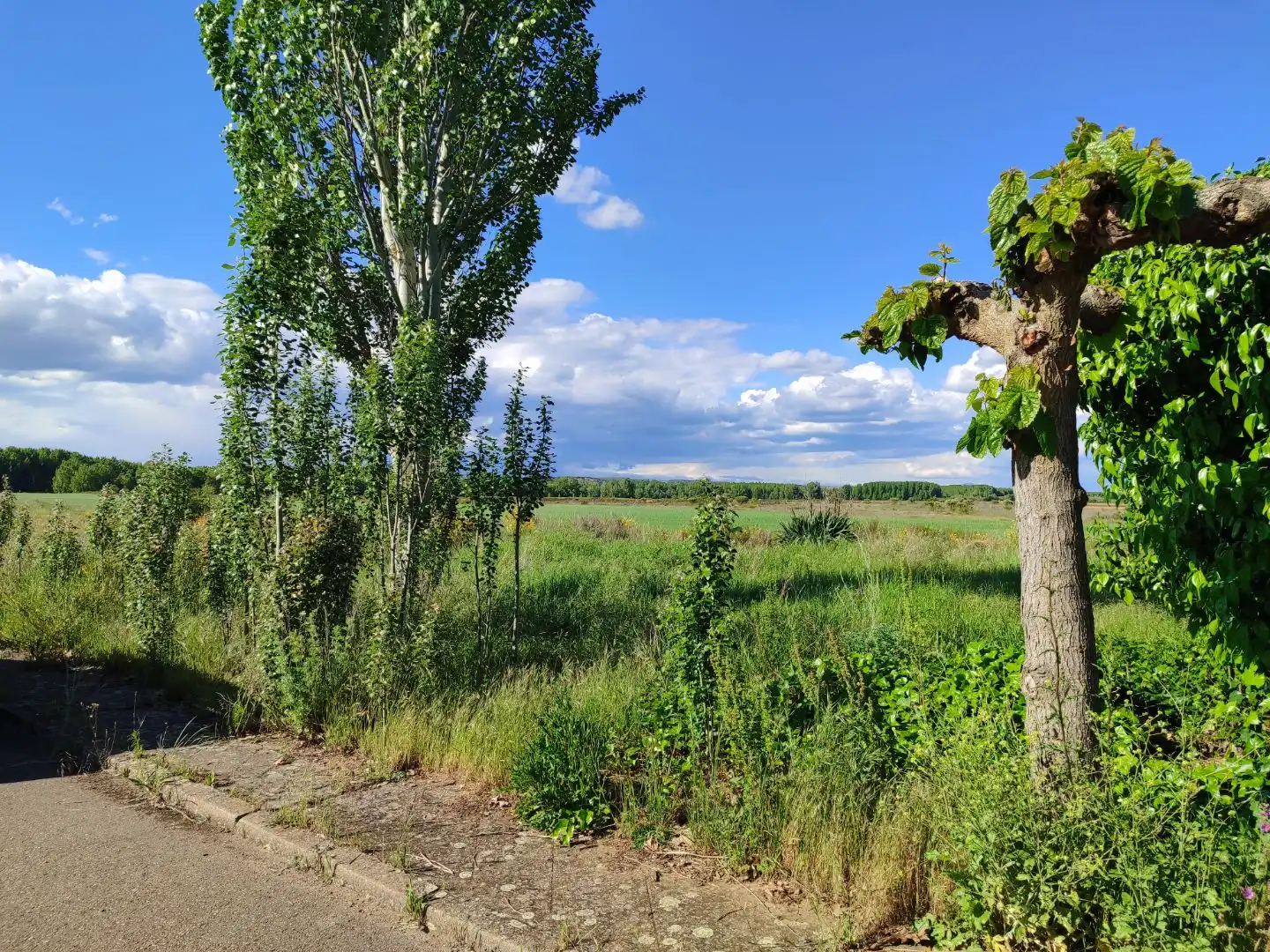 Residential for sale in Mansilla de las Mulas