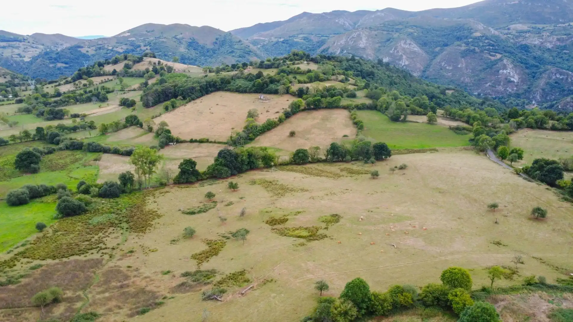 Finca rústica en venda a Lugar Santianes, Grado