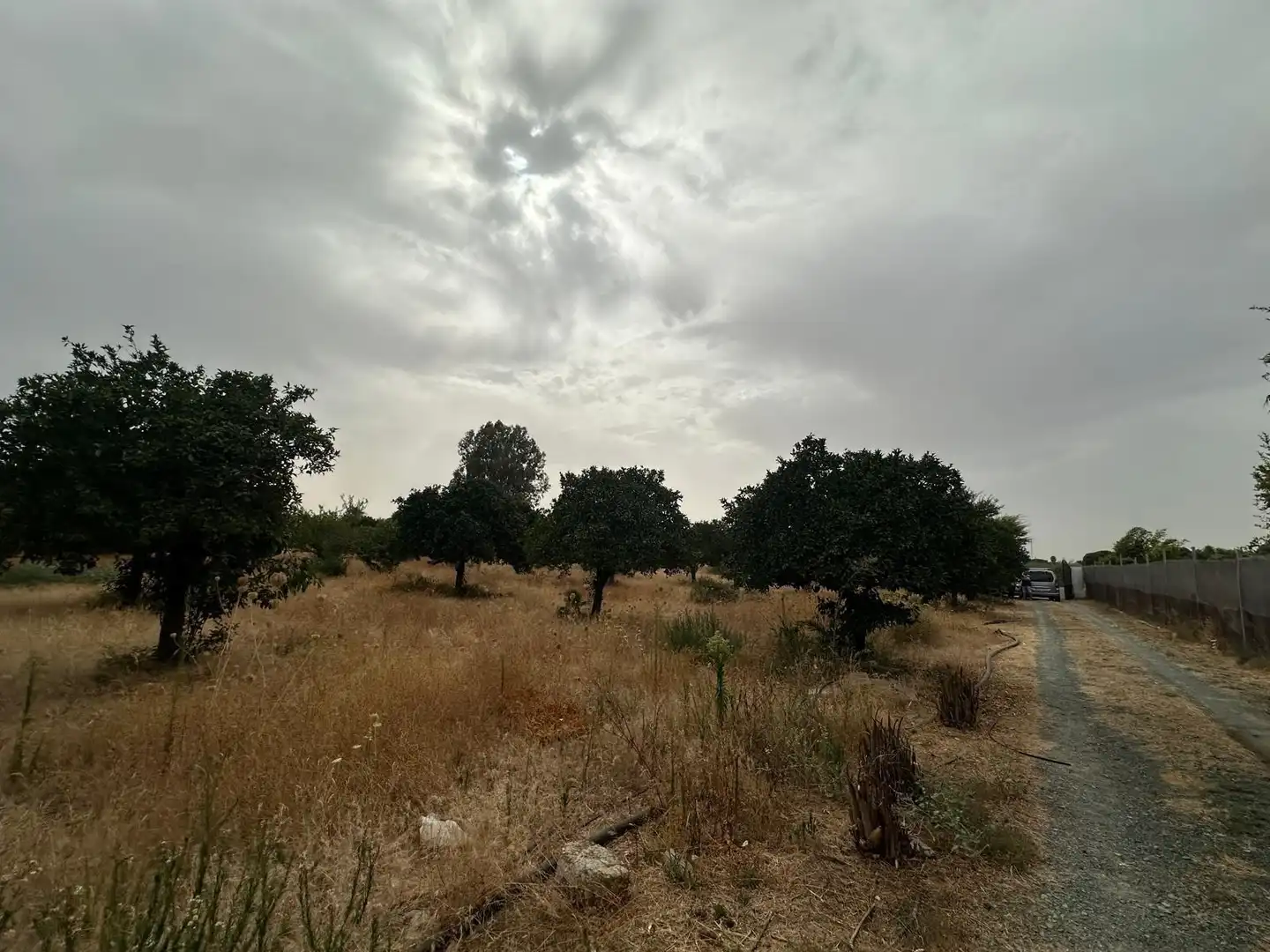 Terreni e lotti in vendita a Pedanías Norte, imagen 18