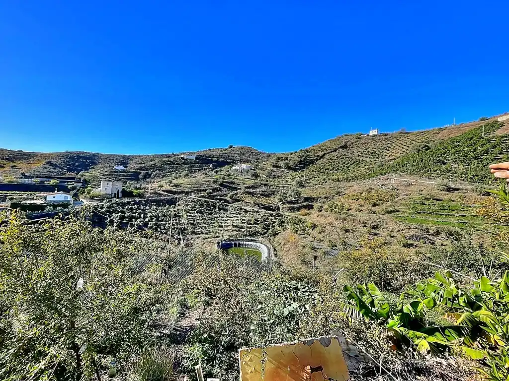 Vista exterior de Finca rústica en venta en Macharaviaya con Jardín privado, Terraza y Amueblado